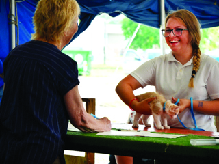 Madison Co Fair
